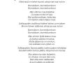 Savel kasiohjelma Page 4